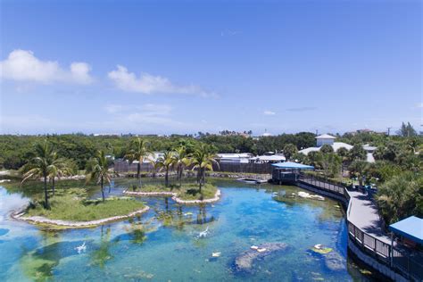 Florida oceanographic coastal center - Mar 9, 2024 - Situated between the Indian River Lagoon and the Atlantic Ocean, the Florida Oceanographic Coastal Center is a 57-acre, marine life nature center offering educational programs to visitors of all ag...